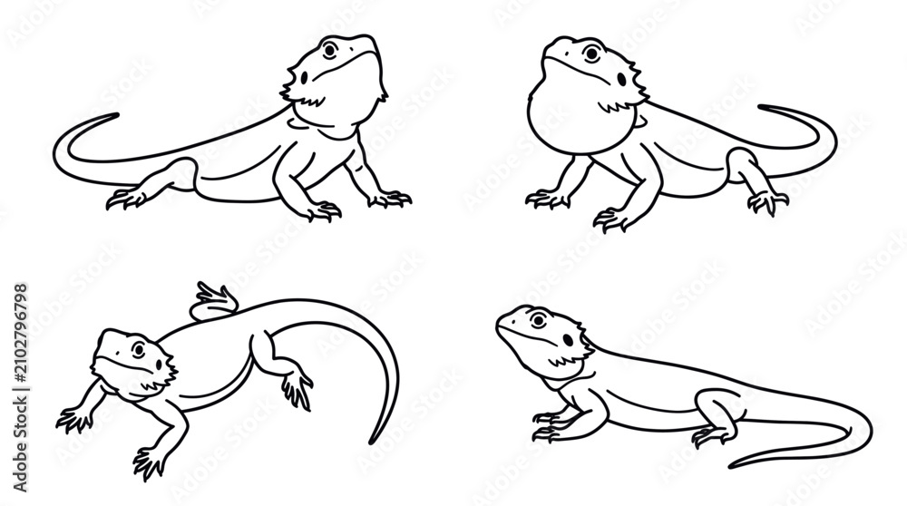Obraz premium Bearded dragon lizard line art set