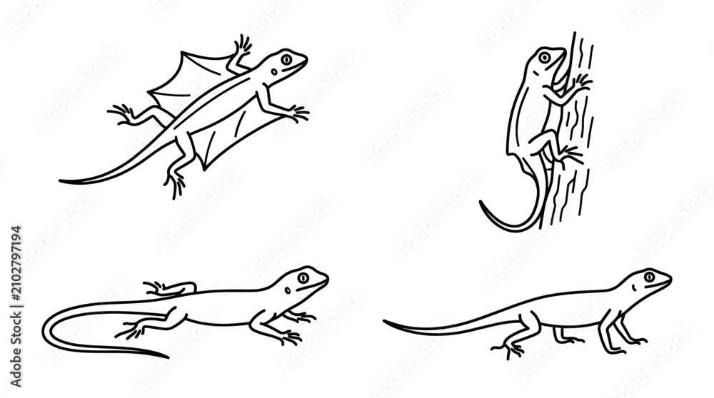 Obraz premium Diverse lizard and gecko line art sketches.