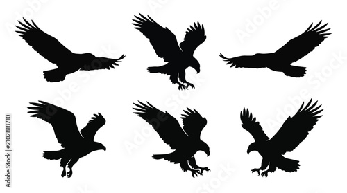 A set of six bald eagle in various poses silhouette vector illustration on a white background
