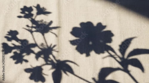 Tranquil botanical shadows of blossoming flowers dance gently on a textured fabric surface in soft sunlight
