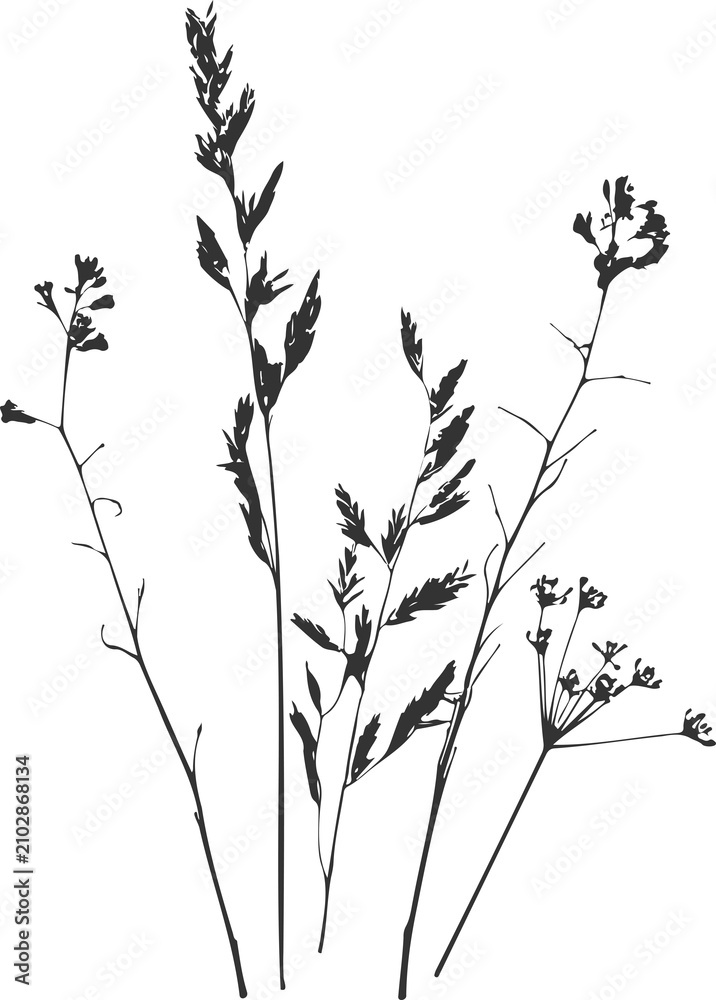 Fototapeta premium Wildflowers and meadow grass silhouettes PNG, bouquet element for minimal elegant wedding stationery corporate identity branding cosmetic packaging and textile print design in dark grey
