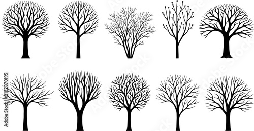 Tableau sur toile Collection of bare winter tree silhouettes with leafless branches for landscape
