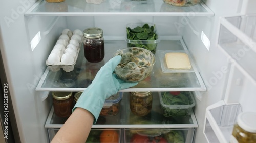 Person wearing rubber glove cleaning moldy food from refrigerator, concept of kitchen hygiene and expired groceries
