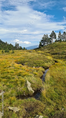 Konstfotografi Un joli ruisseau de montagne traversant les pelouses d'altitude des sommets du D