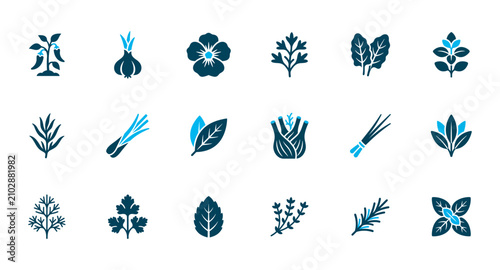 Foto Set of aromatic herbs and cooking spices icons