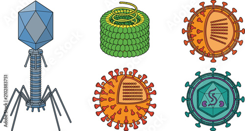 Foto Virus structure vector collection illustrating bacteriophage helical enveloped p