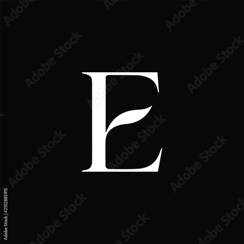 E Letter Logo Icon Vector Design