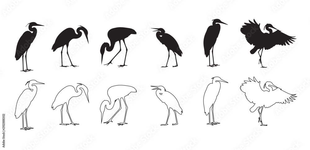 Fototapeta premium Wetland bird silhouettes set featuring heron stork flamingo pelican spoonbill crane and more. Collection of heron and crane silhouettes in various standing and flying poses, vector illustration.