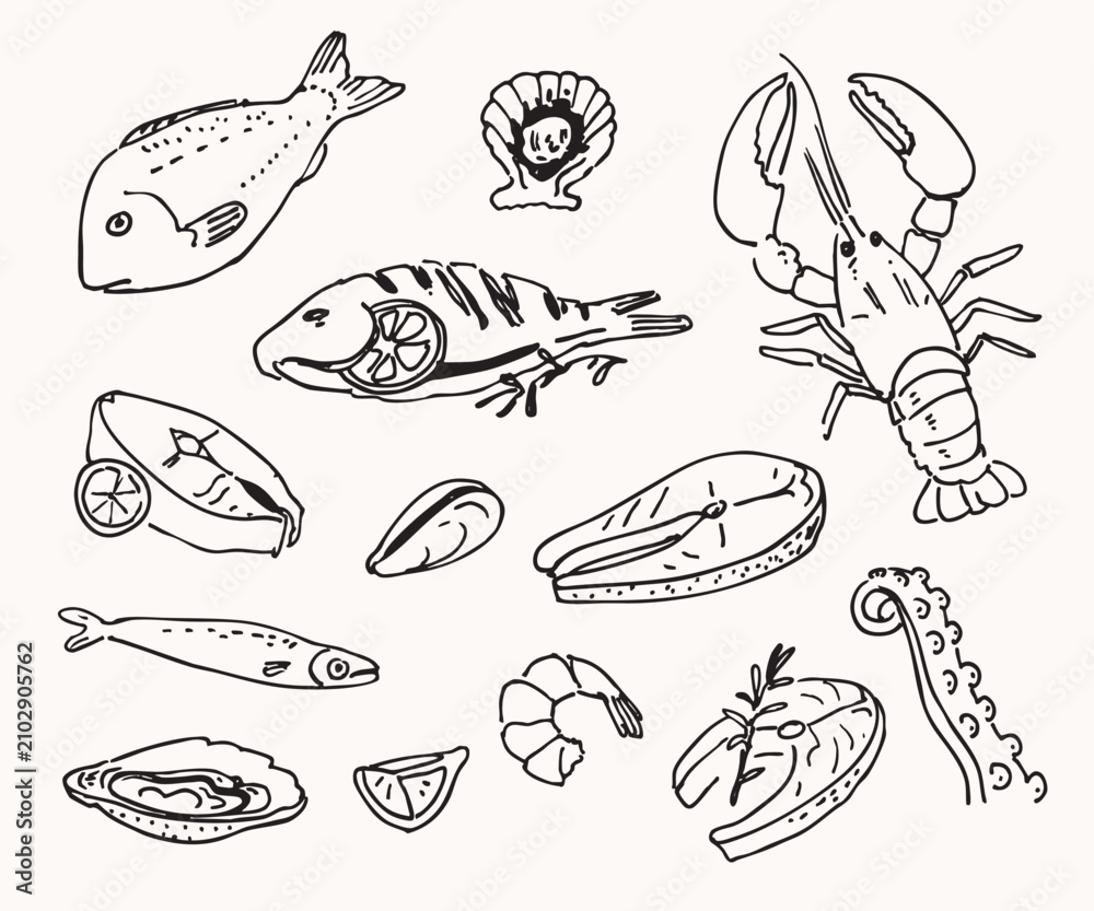 Obraz premium Hand-drawn seafood collection with fish, lobster, shrimp, oyster, mussel, octopus tentacle, and salmon steak. Vintage sketch style marine food illustration set.