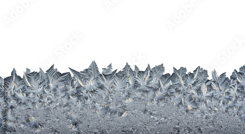 macro shot of intricate, dendritic hoarfrost crystals covering translucent frosted glass, emphasized by crisp backlighting on a gray background, concept for minimalist winter elegance