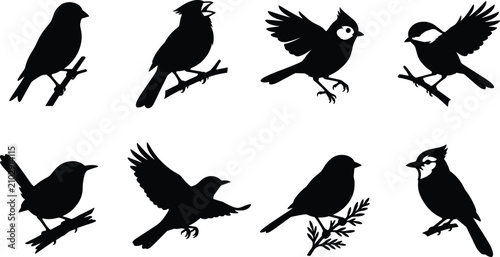 Foto Bird silhouette collection with perched and flying songbirds isolated on white b