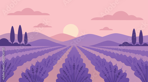 Dreamy lavender field vector landscape at dawn with purple rows leading to rolling hills, pink sky, soft sun, and cypress silhouettes, tranquil Provence scenery for travel, spa, and decor