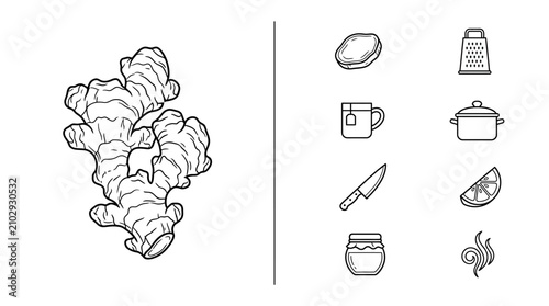 Ginger Root Illustration with Cooking Icon Set