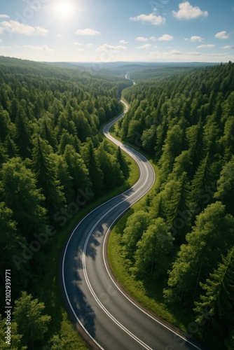 a road winding through the forest, a bird's eye view