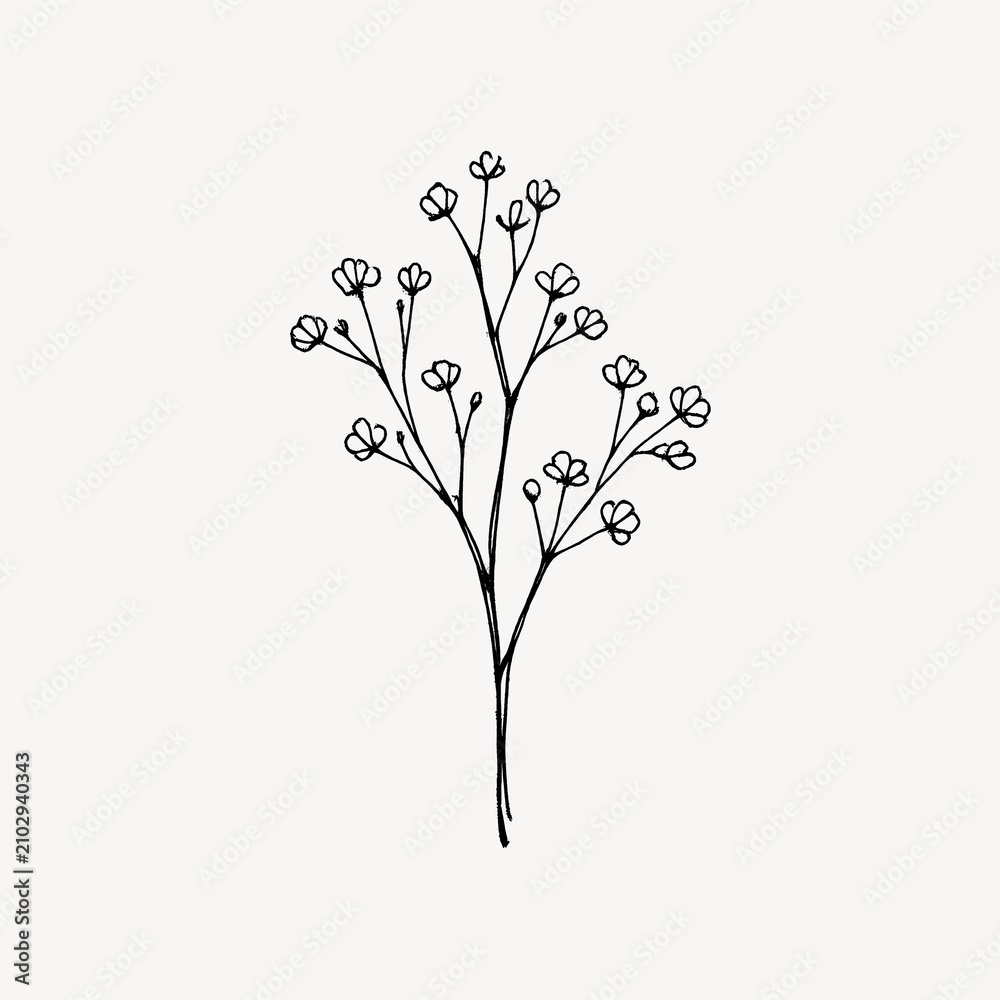 Obraz premium Minimalist botanical line art