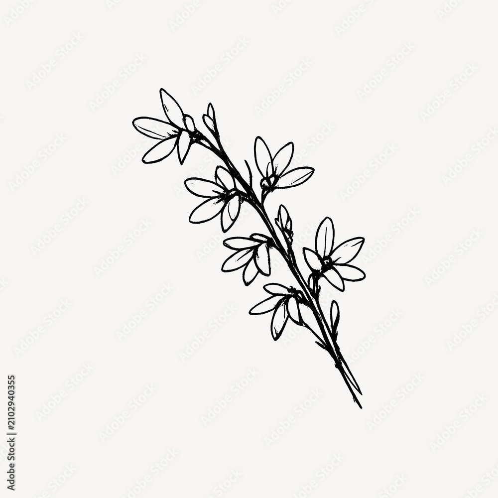 Obraz premium Minimalist floral line art design.