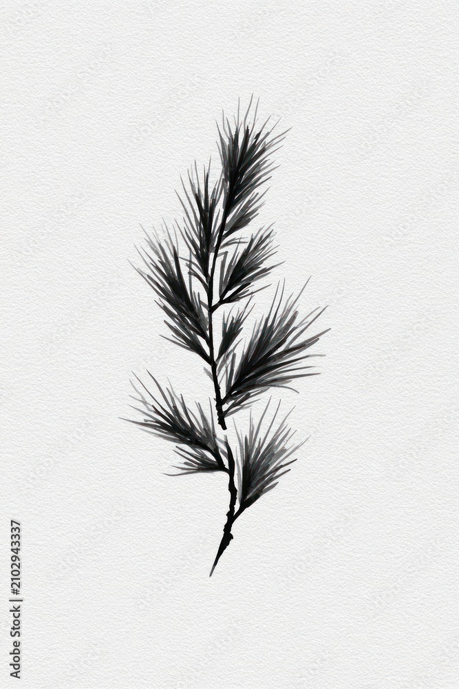 Obraz premium Minimalist black ink illustration of a pine branch on white paper.