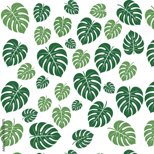 Monstera Leaf Vector Pattern