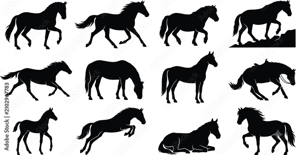 Obraz premium Set of twelve black silhouettes of horses in various poses including walking, running, jumping, and resting