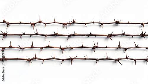 Barbed wire fence closeup with sharp points and white background