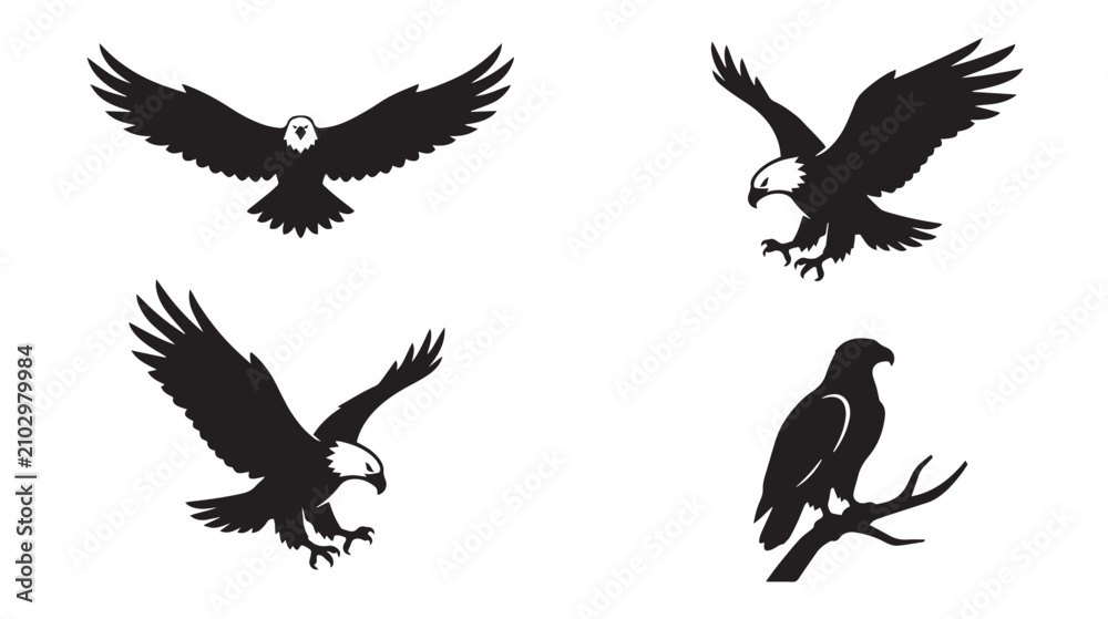 Fototapeta premium Bald eagle silhouette vector set, majestic flying eagle icons, black and white predatory bird illustrations for logos and outdoors branding