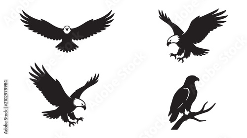Canvastavla Bald eagle silhouette vector set, majestic flying eagle icons, black and white p