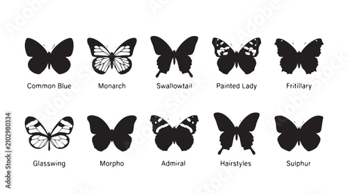 Photos Butterfly silhouette collection with 10 species icons, black monarch and swallow