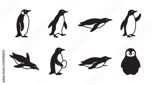 Bild auf Leinwand Minimalist penguin icon set, black and white arctic bird silhouettes, collection