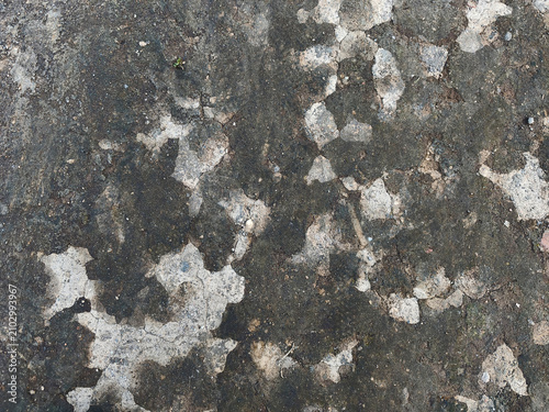 Valokuva Weathered concrete surfaces often have a rough, porous texture