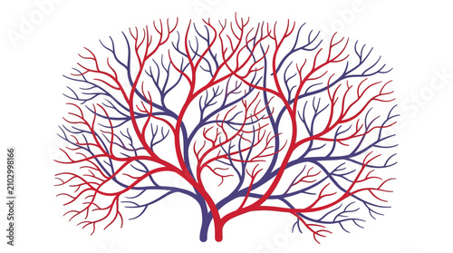 Bild auf Leinwand Abstract illustration of human circulatory system with red arteries and blue veins forming a complex branching network