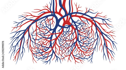 Tableau sur toile Intricate illustration of the human circulatory system showing a dense network of arteries and veins