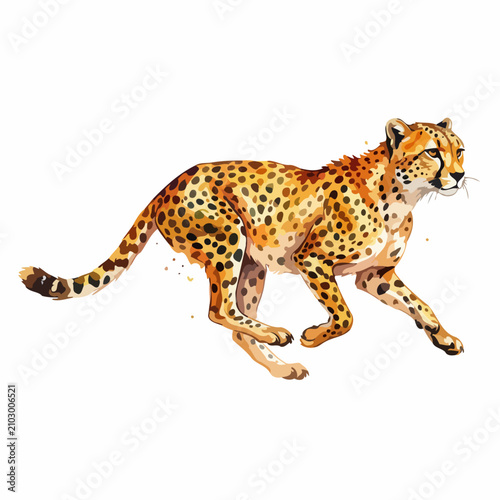 Photography A wild spotted cat runs quickly across a plain white background