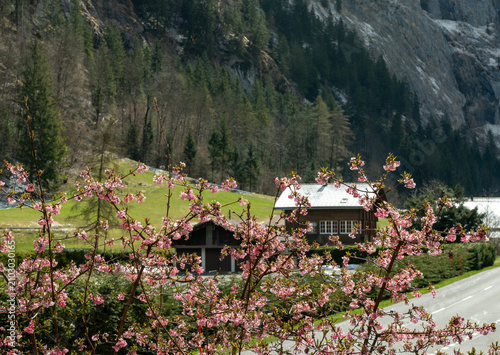 Photography house in the mountains