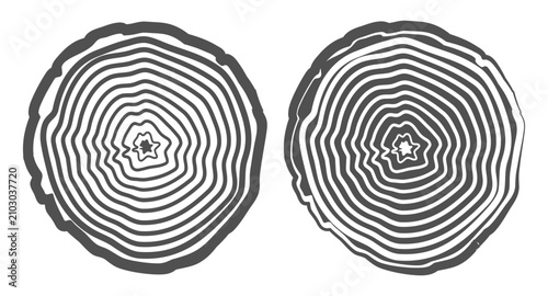 Foto Two black and white tree ring cross sections with concentric wood grain patterns on white background