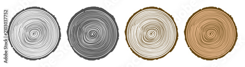 Foto Tree ring icon set on transparent background