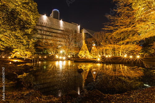 Принти на полотні Panoramic night view of Koishikawa Korakuen with countless sparkling light flare