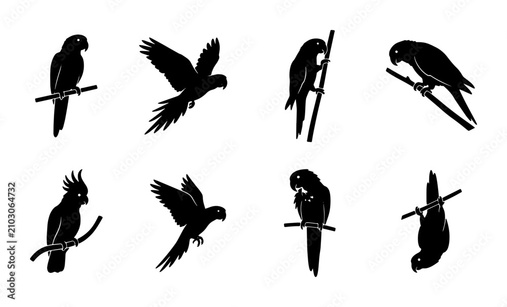 Fototapeta premium Parrot Silhouettes Collection: Tropical Birds Vector Icons, Exotic Avian Graphics, Wild Nature Elements