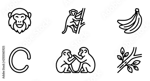 Photography Vector Icons: Monkey Faces, Climbing, Bananas, Alphabet C, Pairs, Branches