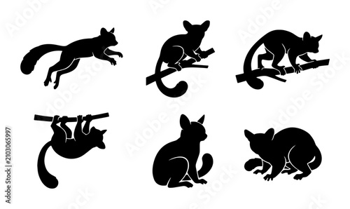 Vector Silhouettes of Six Possum Animals in Various Poses, Black and White Graphic Elements