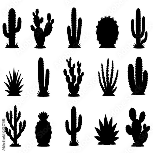 Foto Cactus succulent plant shapes.