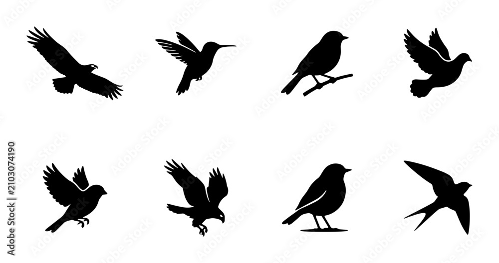 Fototapeta premium Diverse Bird Silhouettes Collection, Avian Wildlife Icons, Feathered Creatures Vector Set