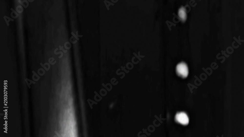 Monochrome medical MRI scan of bone structure and spinal column details 4K