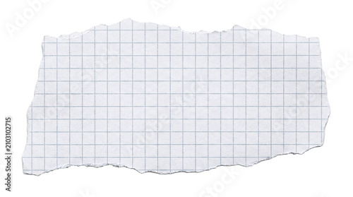 Obraz na płótnie Torn piece of white grid paper with rough edges against transparent background