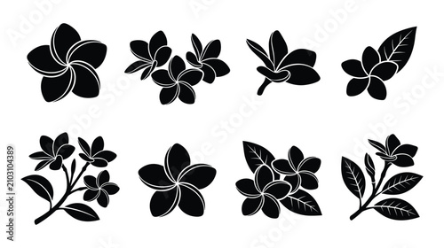 Tropical Plumeria Frangipani Flower Silhouette Vector Set Minimalist Botanical Icons