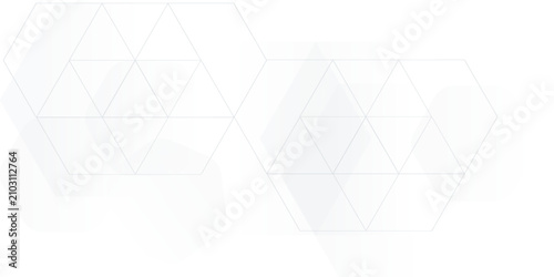 Canvastavla White background abstract art vector illustration with hexagon shape