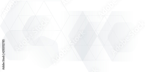 Tableau sur toile White background abstract art vector illustration with hexagon shape