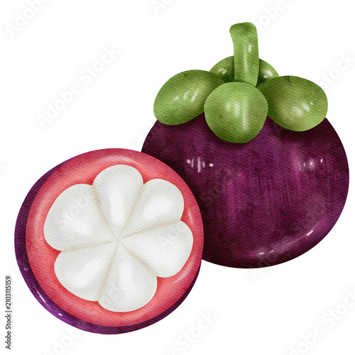 Watercolor Mangosteen Whole and Half Isolated on Transparent Background