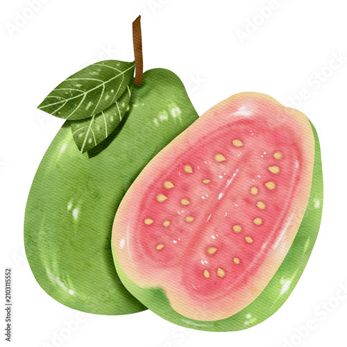 Watercolor Pink Guava Whole and Half with Leaf Isolated on Transparent Background