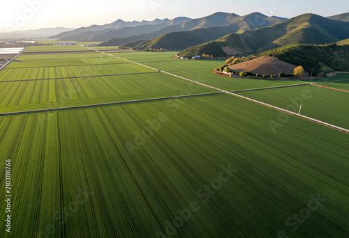 Aerial view of vast green a...