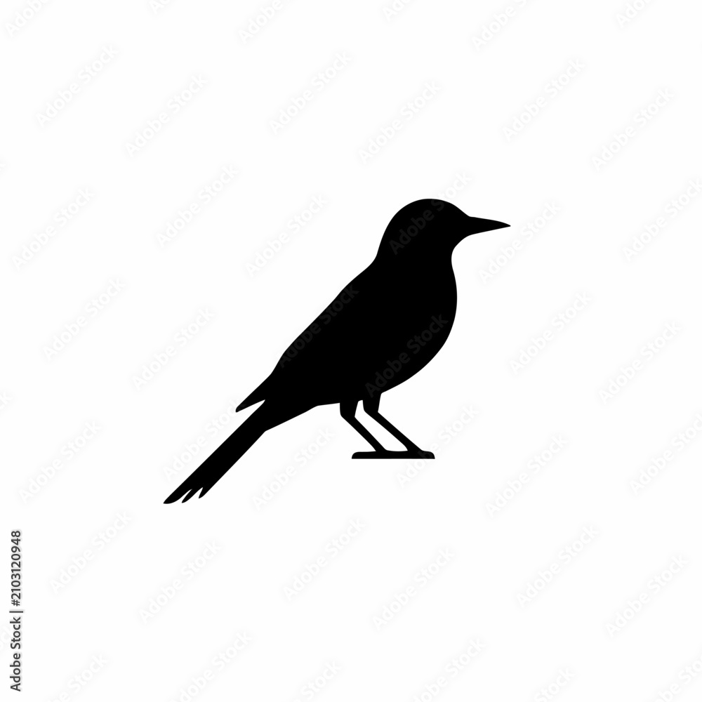 Obraz premium Black Bird Silhouette Standing Isolated on White Background